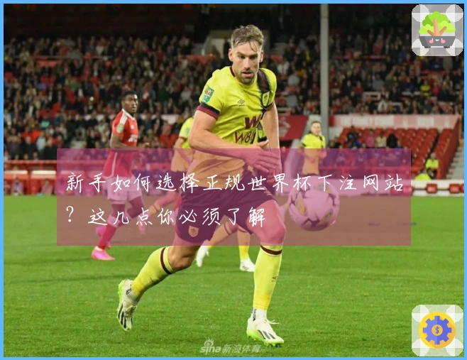 新手如何选择正规世界杯下注网站？这几点你必须了解