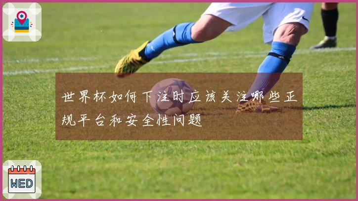 世界杯如何下注时应该关注哪些正规平台和安全性问题