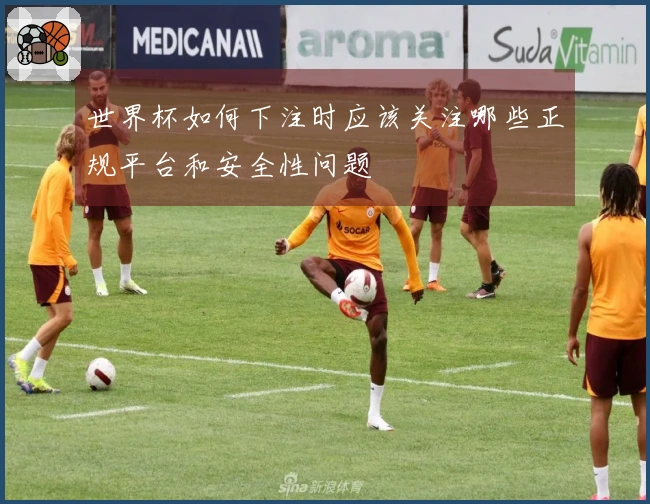 世界杯如何下注时应该关注哪些正规平台和安全性问题