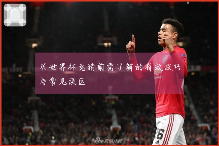 买世界杯竞猜前需了解的有效技巧与常见误区