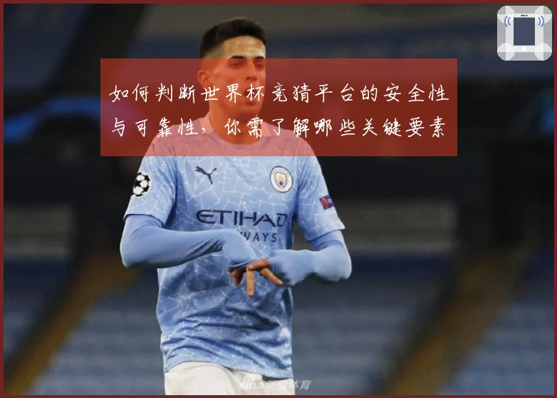 如何判断世界杯竞猜平台的安全性与可靠性，你需了解哪些关键要素？